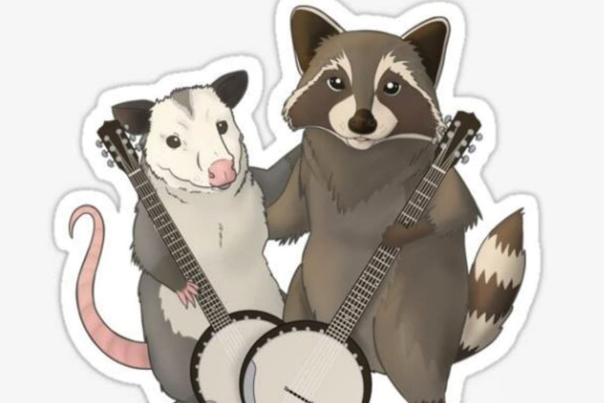 Trashhawk Tavern - Bluegrass Jam